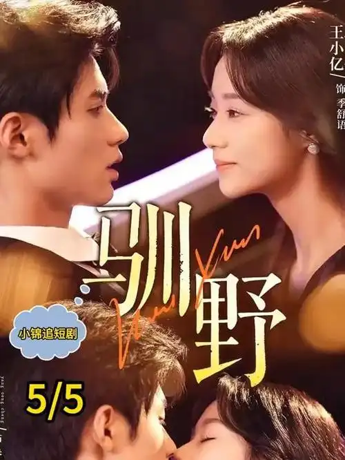 红果短剧《总裁的替嫁新娘》在线看